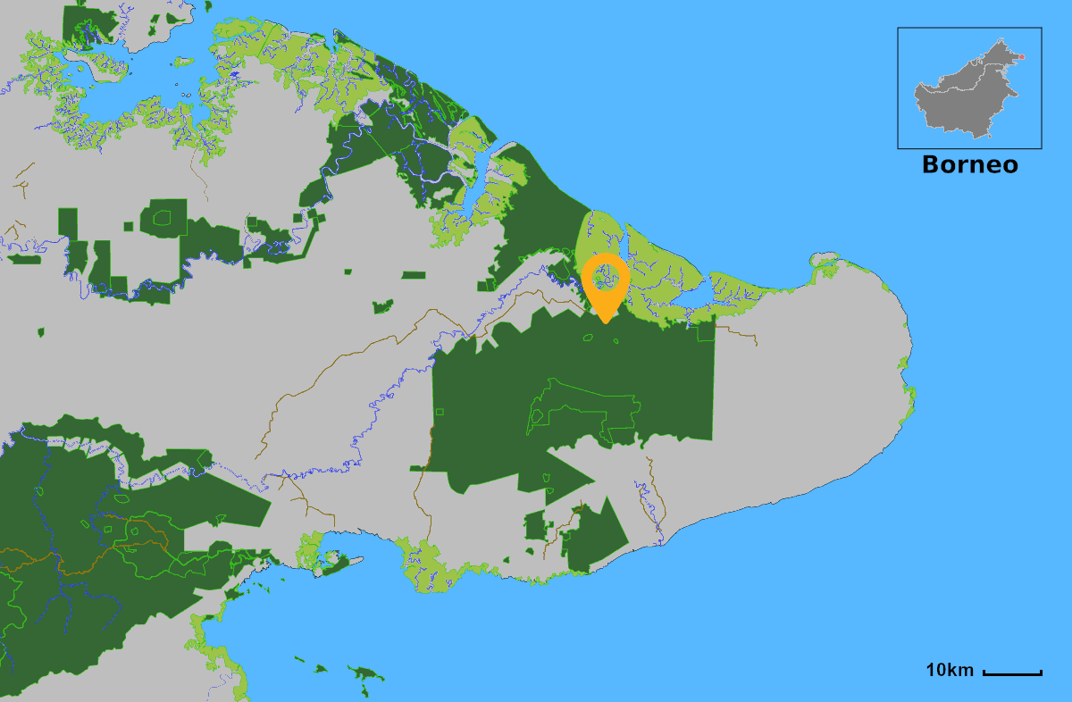 Riparian-Zone Restoration at Tabin River