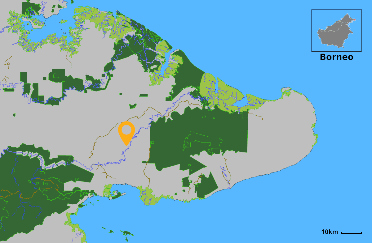 forest-protection-in-the-segama-floodplain