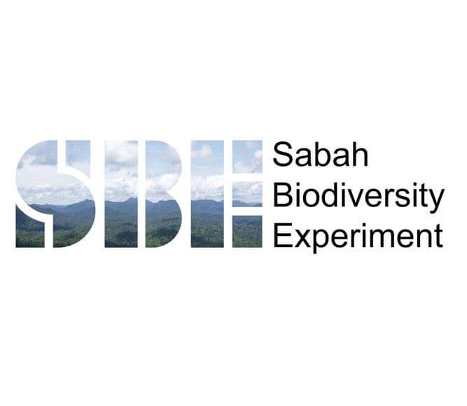 Sabah Biodiversity Experiment