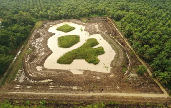 Ein Booster für die Biodiversität: Rhino Forest Fund legt See im Projektgebiet an