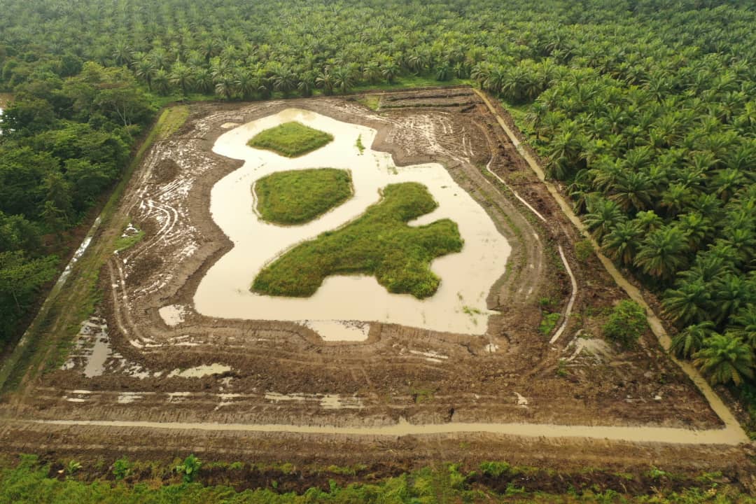 Ein Booster für die Biodiversität: Rhino and Forest Fund legt See im Projektgebiet an